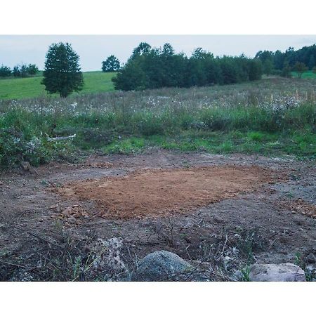 Place For Tent - Miejsce Na Namiot U Stop Natury Kuty 外观 照片