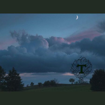 Place For Tent - Miejsce Na Namiot U Stop Natury Kuty 外观 照片